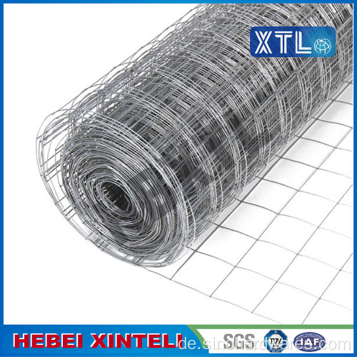 Hochwertiges Holland Wire Mesh